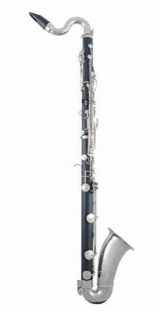 Geen afbeelding ingesteld 